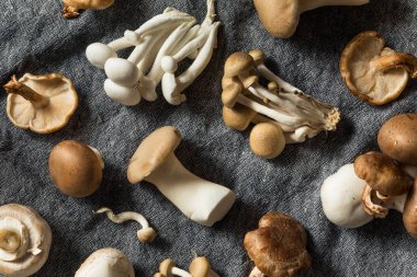 Çiğ Organik Gurme Mantar Çeşitleri