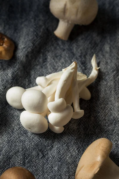 Çiğ Organik Gurme Mantar Çeşitleri