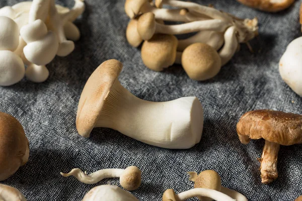 Rauwe biologische Gourmet Mushroom assortiment — Stockfoto