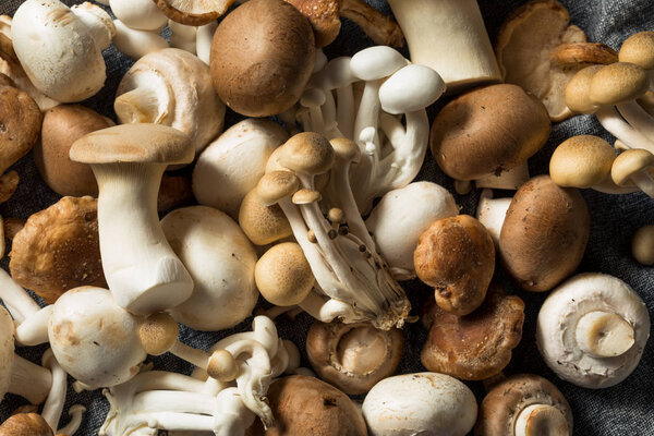 Raw Organic Gourmet Mushroom Assortment