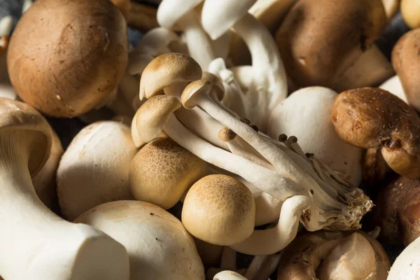 Sortimento de cogumelos orgânicos crus Gourmet — Fotografia de Stock