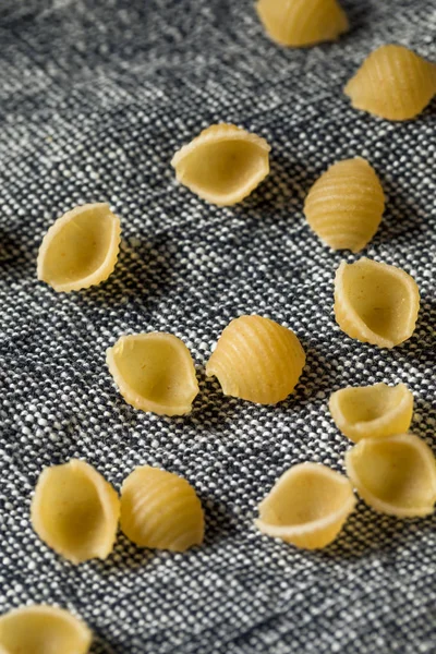 Dry Organic Macaroni Shells — Stock Photo, Image