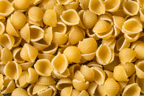 Dry Organic Macaroni Shells — Stock Photo, Image
