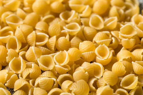 Coquilles de macaronis bio sèches — Photo