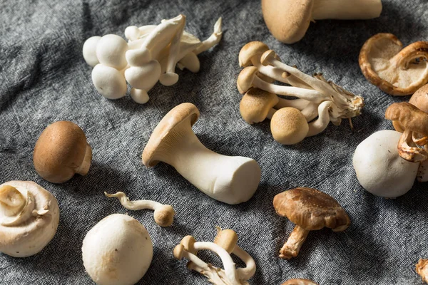 Ассортимент сырых органических гурманов и грибов — стоковое фото