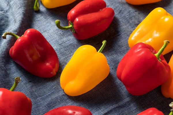 Raw Colorful Mini Bell Peppers — Fotografie, imagine de stoc