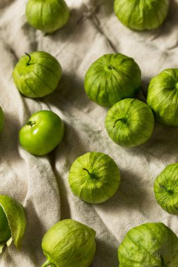 Organik Yeşil Taze Tomatillos