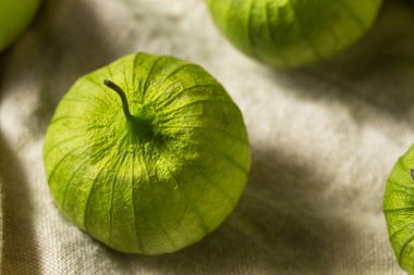 Organik Yeşil Taze Tomatillos