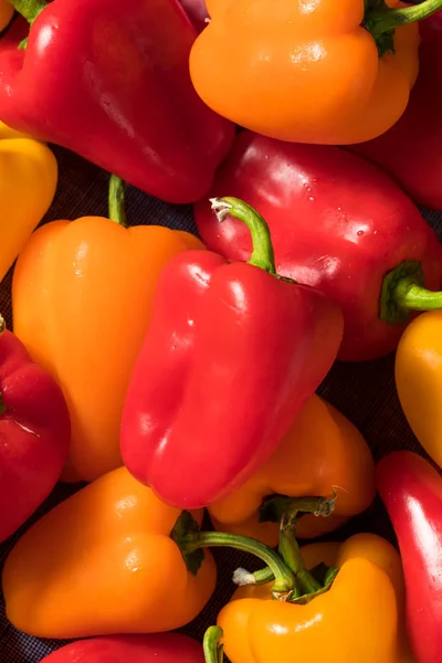 Rauwe kleurrijke mini paprika — Stockfoto