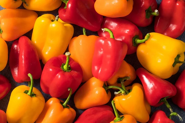 Nyers színes mini Bell Peppers — Stock Fotó