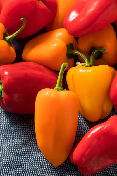 Rohe bunte Mini-Paprika — Stockfoto