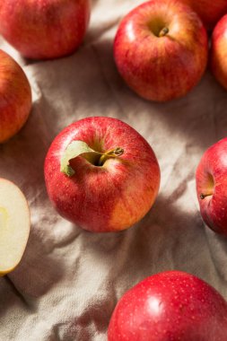 Ham Kırmızı Organik Gala Elmalar