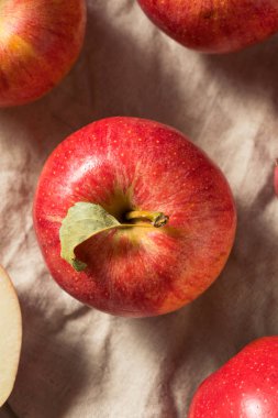 Ham Kırmızı Organik Gala Elmalar