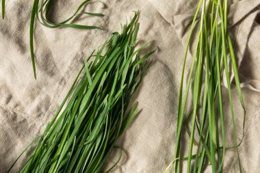 Ham Yeşil Organik Kore Frenk Soğanı