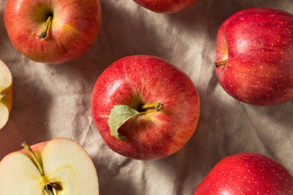 Rohe rote Bio-Gala-Äpfel — Stockfoto