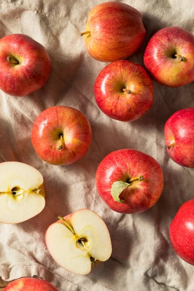 Pommes de Gala biologiques rouges crues — Photo