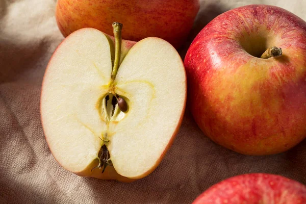 Сирі червоні органічні святкові яблука — стокове фото
