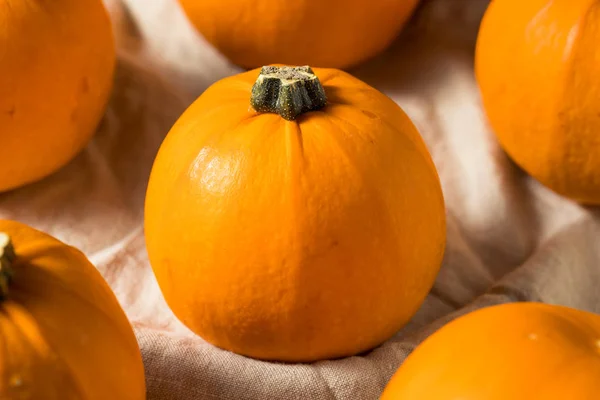 Mini abóboras laranja orgânicas cruas — Fotografia de Stock