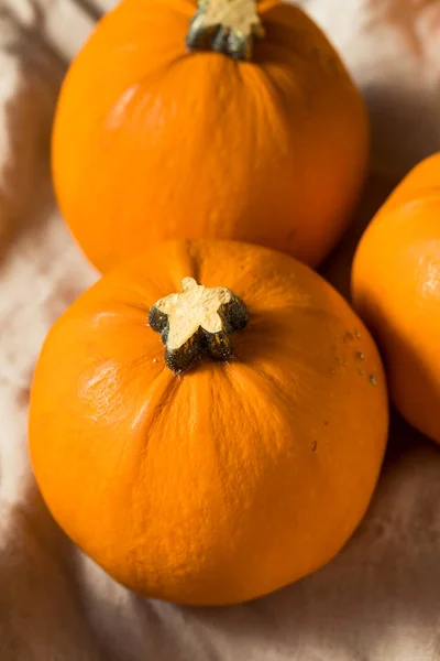 Mini abóboras laranja orgânicas cruas — Fotografia de Stock