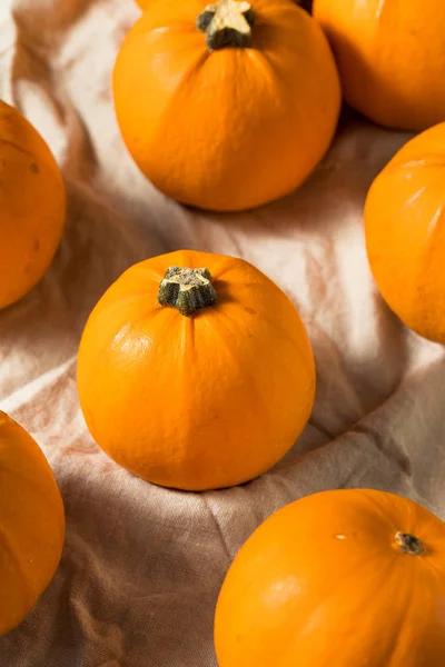 Сировина органічні міні помаранчеві гарбуза — стокове фото