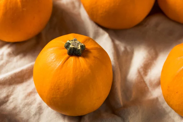 Mini abóboras laranja orgânicas cruas — Fotografia de Stock