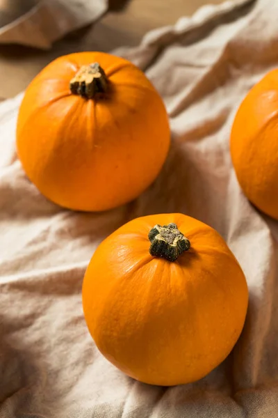 Mini abóboras laranja orgânicas cruas — Fotografia de Stock