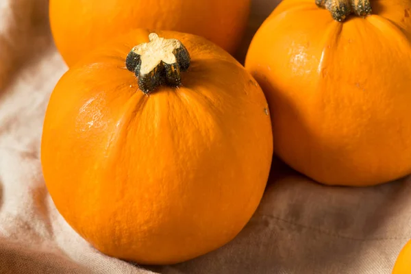 Nyers szerves mini Orange Pumpkins — Stock Fotó