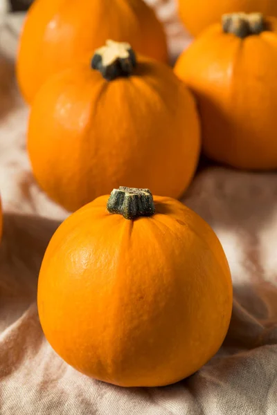 Mini abóboras laranja orgânicas cruas — Fotografia de Stock