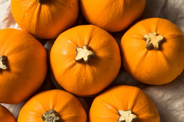 Mini abóboras laranja orgânicas cruas — Fotografia de Stock