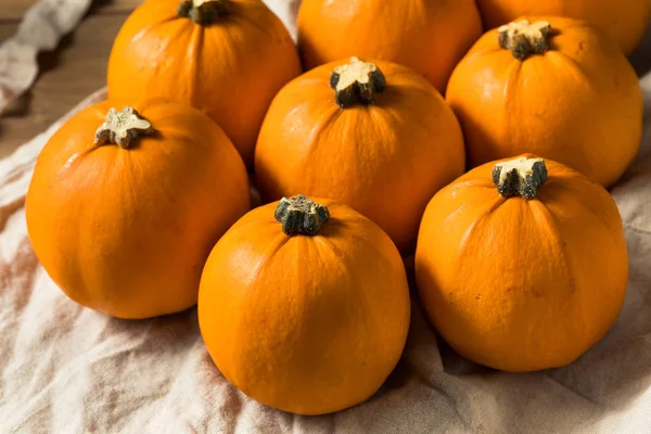Raw Organic Mini Orange Pumpkins — Stock Photo, Image