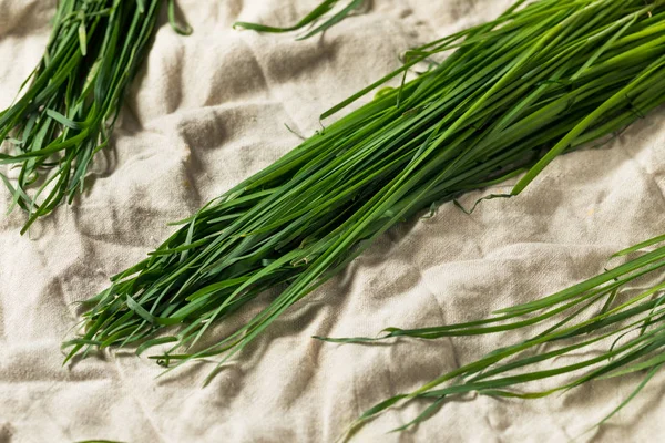 Raw Green Organic Korean Chives — Stock Photo, Image