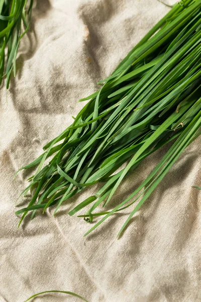 Raw Green Organic Korean Chives — Stock Photo, Image