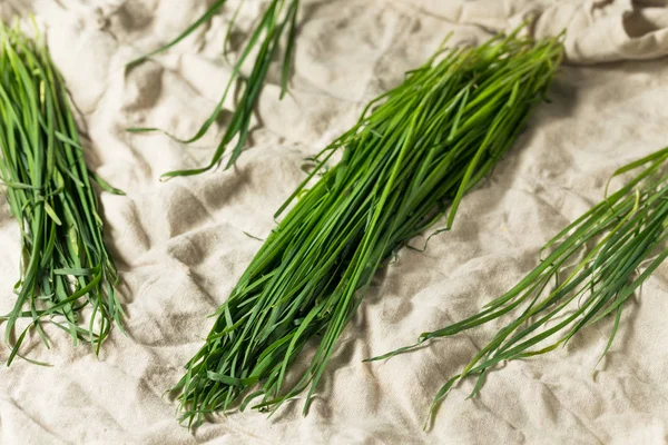 Raw Green Organic Korean Chives — Stock Photo, Image