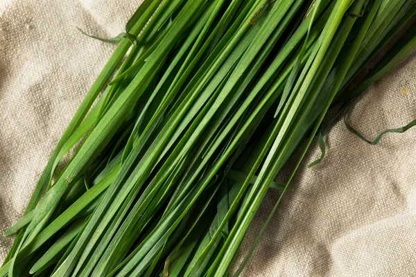 Сировина зелений органічний Корейська цибуля — стокове фото