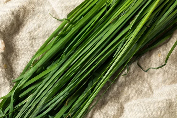 Сировина зелений органічний Корейська цибуля — стокове фото