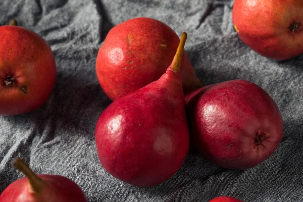 Peras de Anjou orgánicas rojas crudas — Foto de Stock