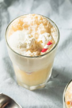 Ev yapımı zencefilli bira Boston soğutucusu.