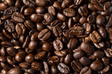 Kuru Organik Kahve Fasulyeleri