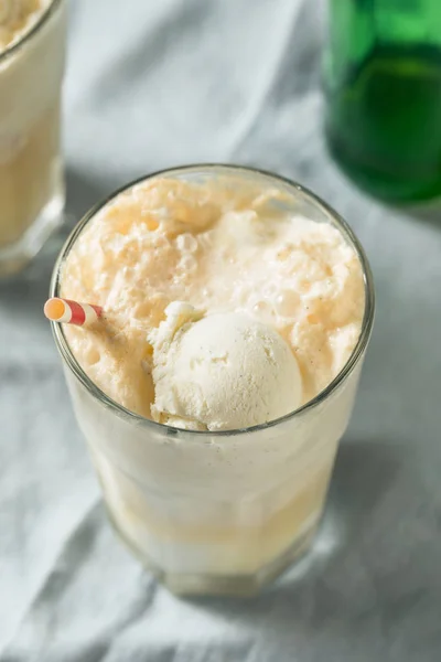 Homemade Ginger Beer Boston Cooler — Stock Photo, Image