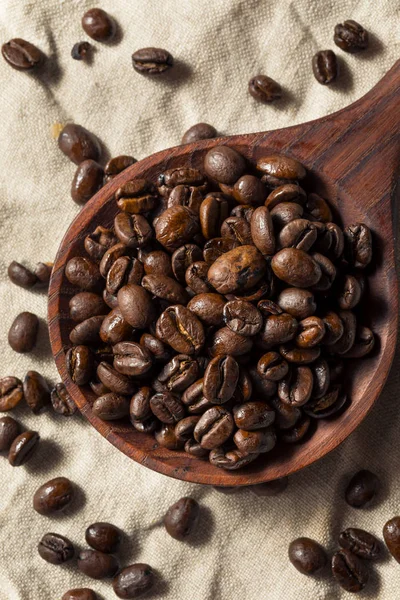 Suche organiczne ziarna kawy — Zdjęcie stockowe