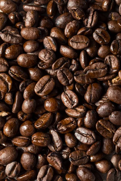 말린 유기농 커피 콩 — 스톡 사진