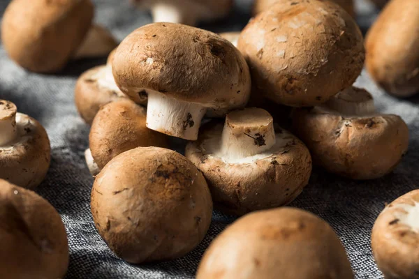 Реве органічне маля Bella Mushroom — стокове фото