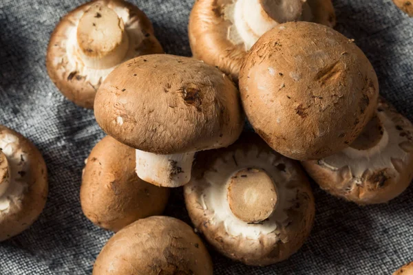 Raw Organic Baby Bella Mushrooms — стоковое фото