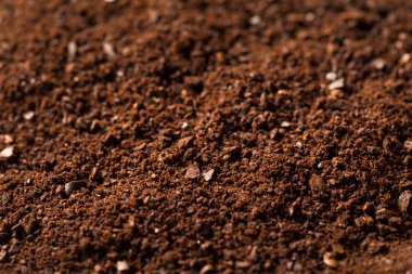 Organik Kızarmış Kahve Fasulyesi