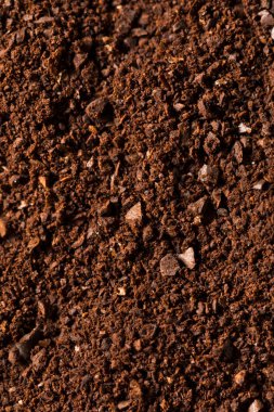 Organik Kızarmış Kahve Fasulyesi