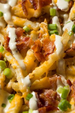 Ev yapımı Bacon Cheddar Ranch Kızartmaları