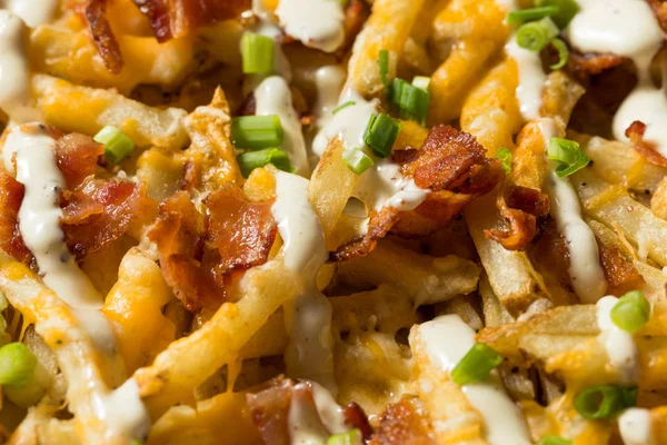 Zelfgemaakte Bacon Cheddar Ranch Fries — Stockfoto