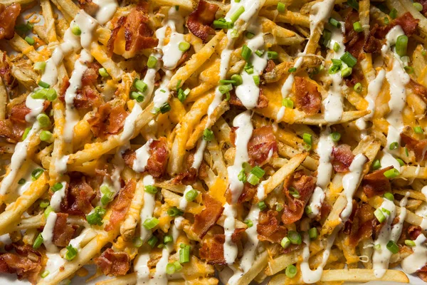 Zelfgemaakte Bacon Cheddar Ranch Fries — Stockfoto