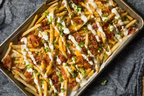 Homemade Bacon Cheddar Ranch Fries — Stock Photo, Image