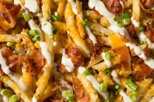 Zelfgemaakte Bacon Cheddar Ranch Fries — Stockfoto